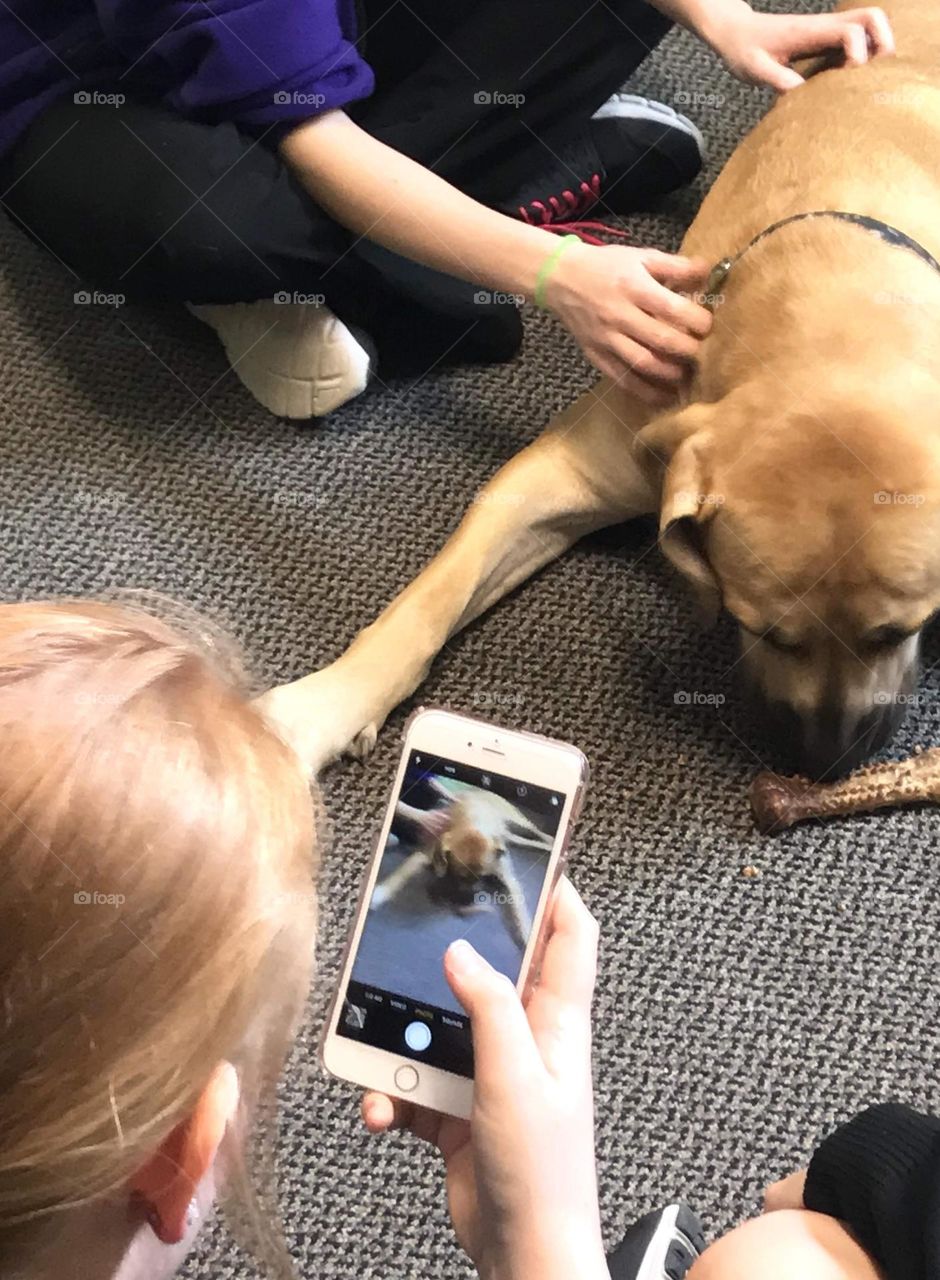  Girl taking a photo of a dog with her phone