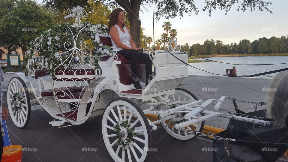 A Carriage Ride Through the Park 