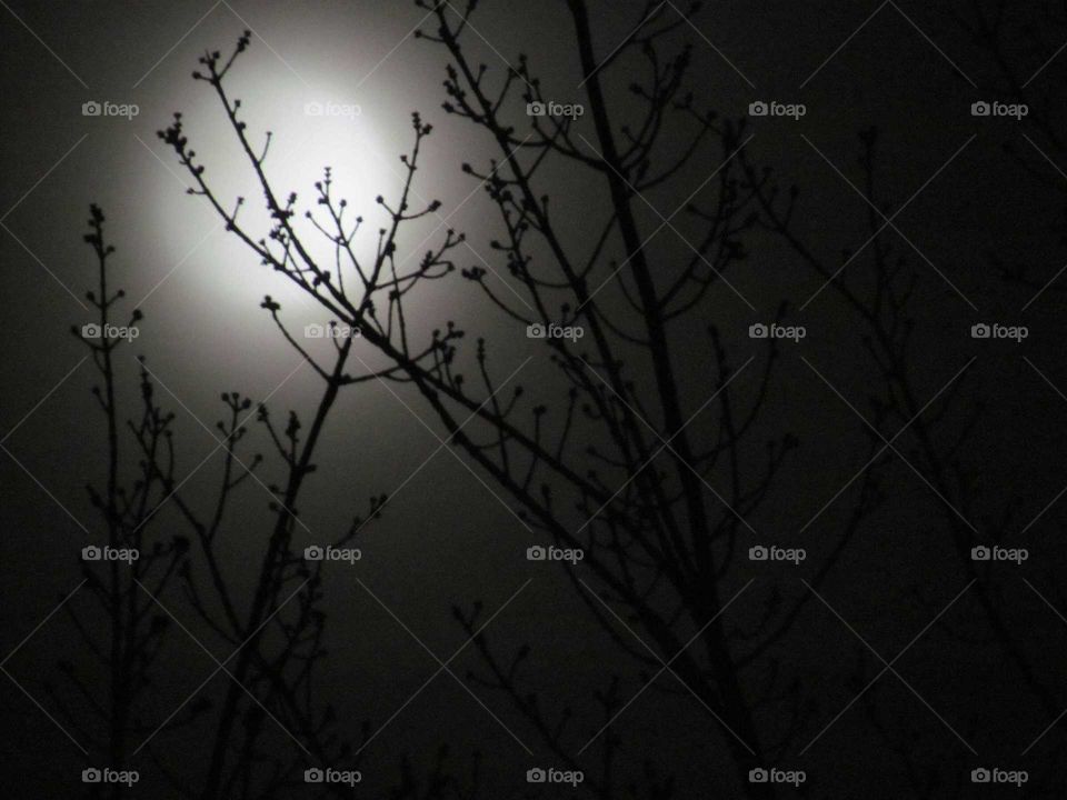 Foggy Snow Moon and lunar eclipse