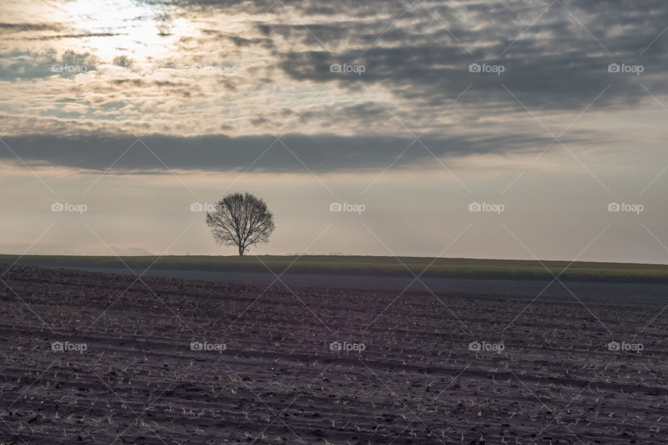 Osieczna, Leszno, Poland