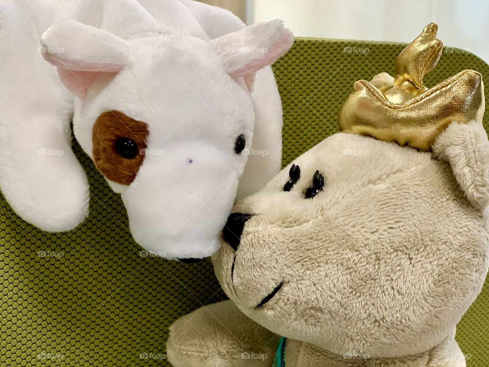 Cutie dog and bear dolls kissing on cheek when we put them together 🥰