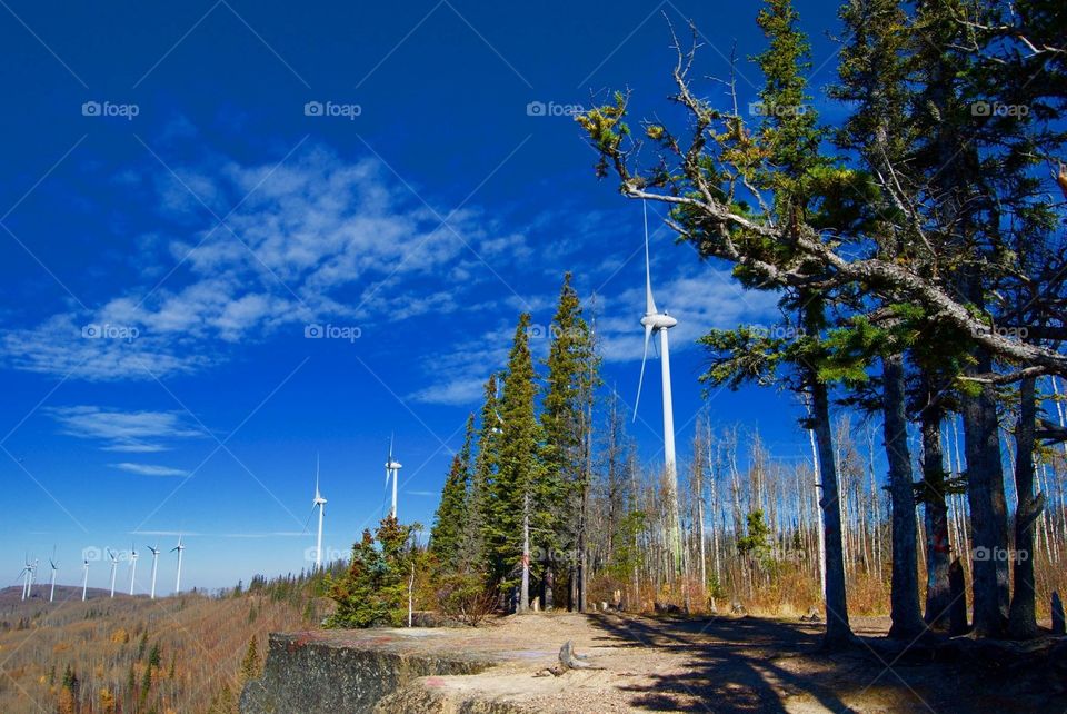 Bear Mountain Wind Turbines 