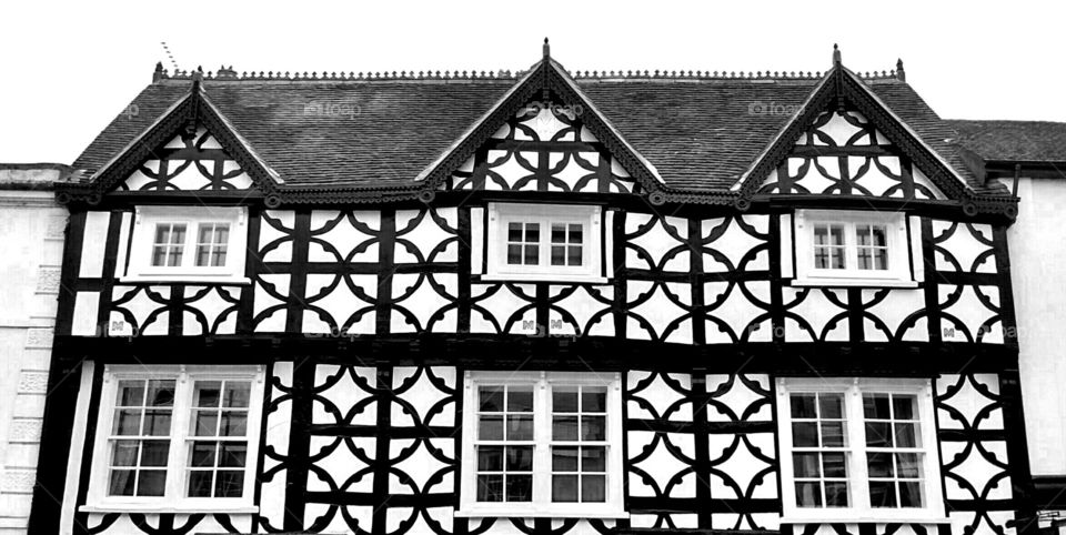 Tudor house