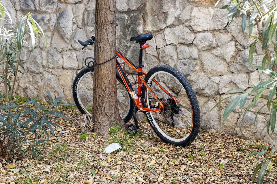 Bicycle in shadow