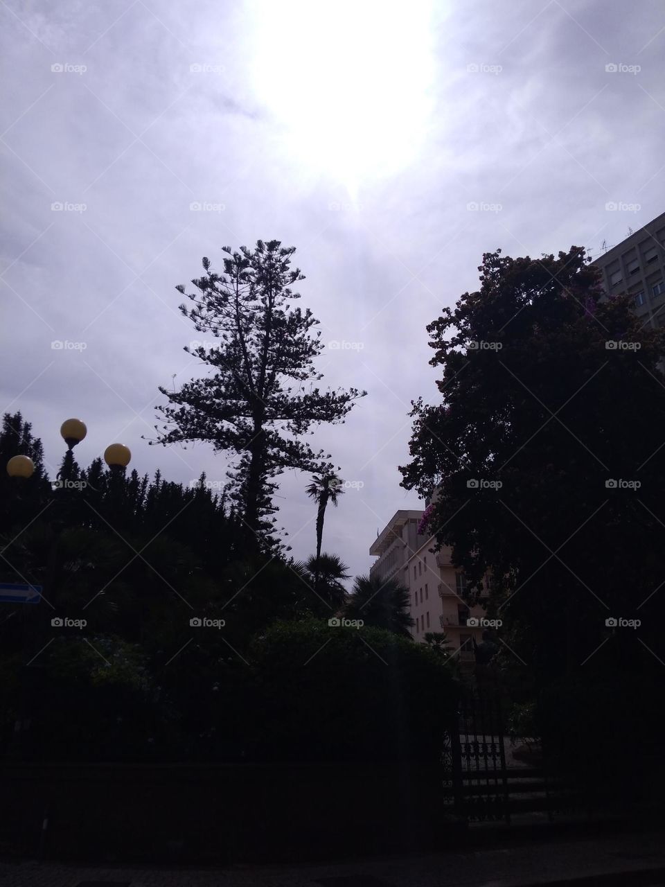 Editors' Choice - Photo of the Week