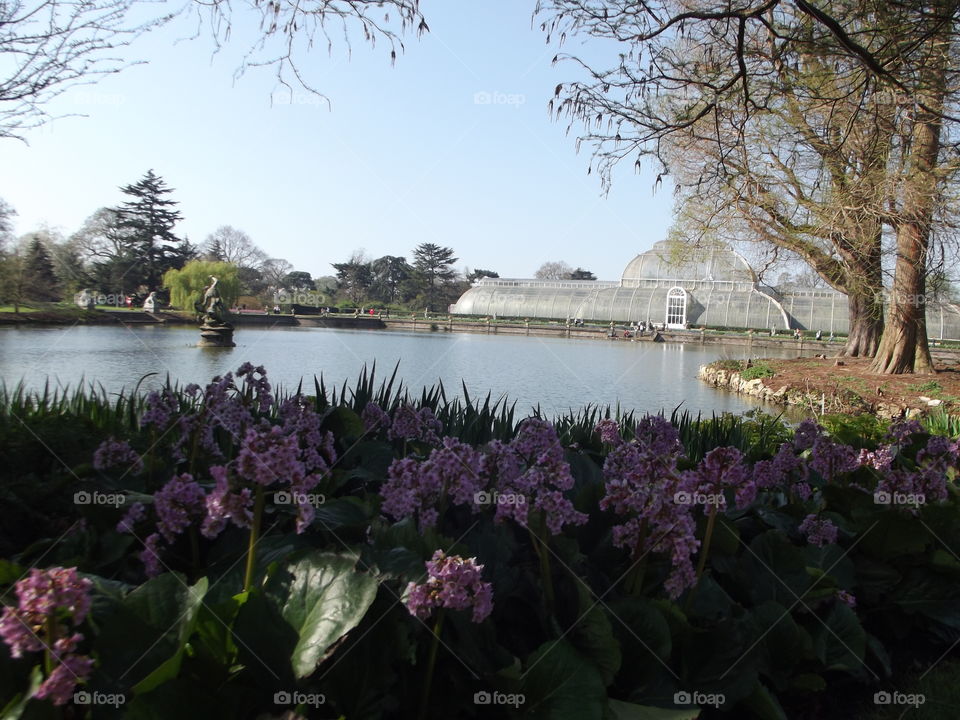 Springtime At Kew