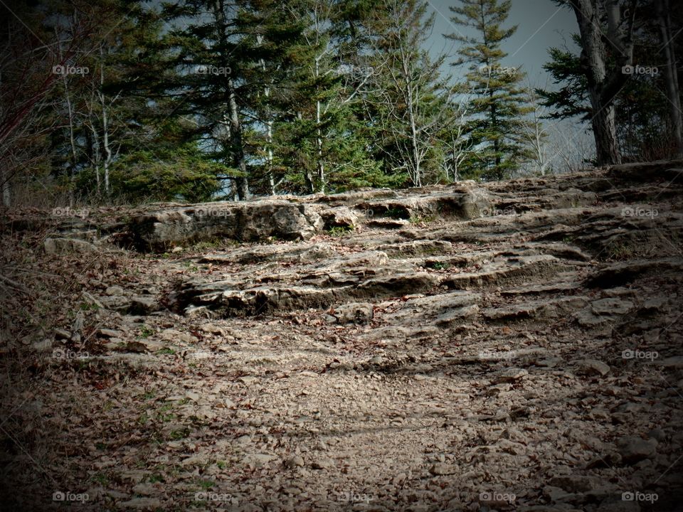 Drummond Island, Michigan 