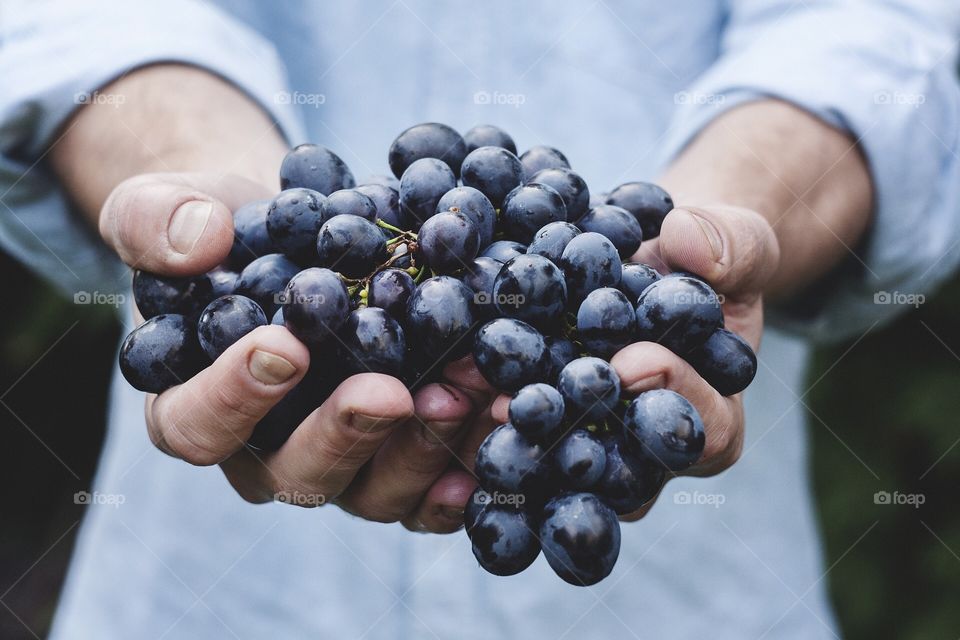 grapes italy food