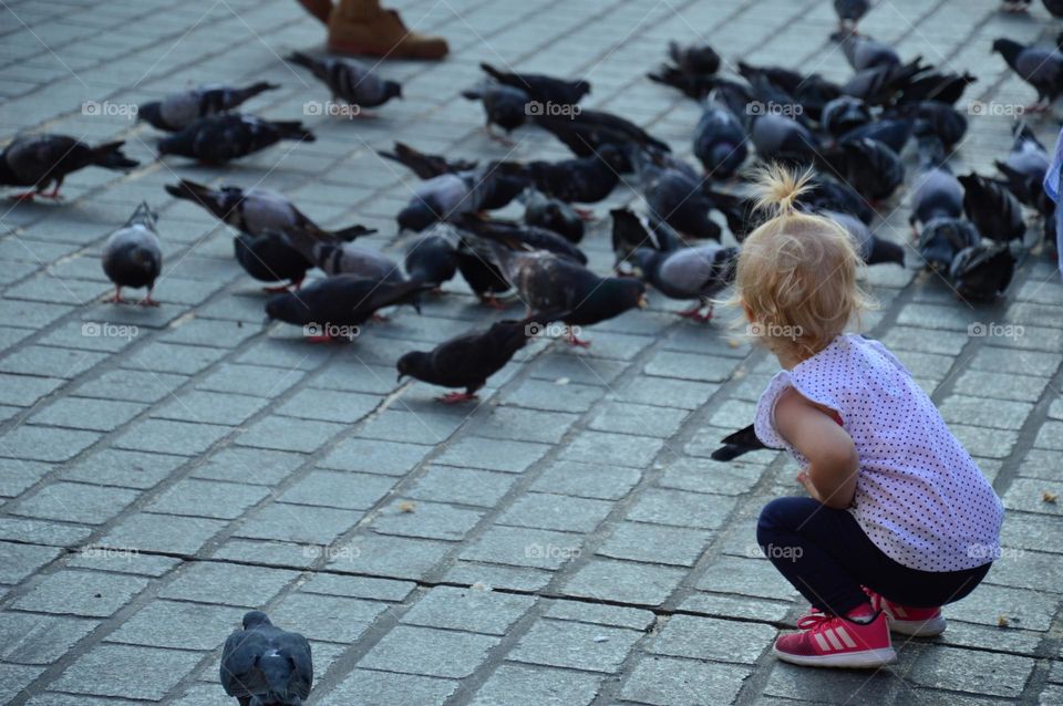 little girl feeding pigeons