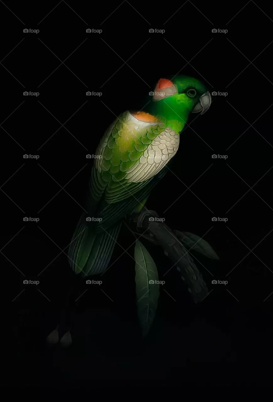 parrot