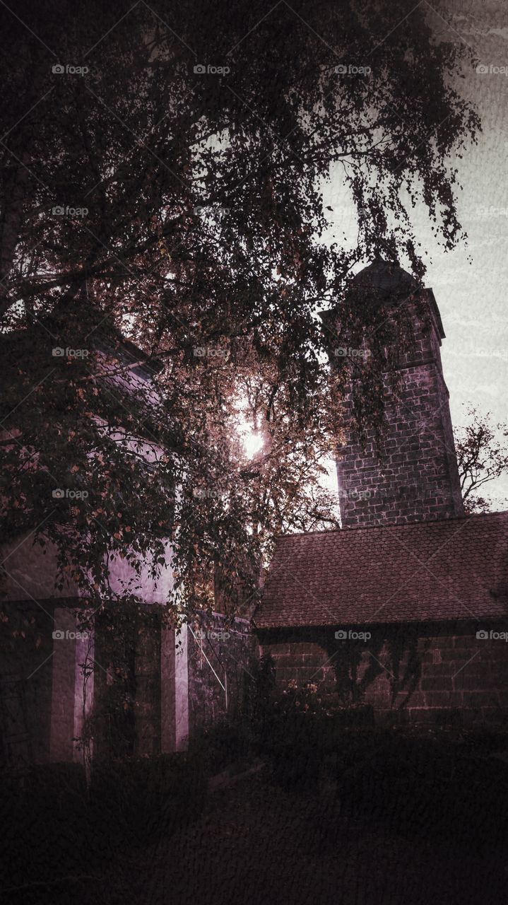 A Morning with growing Sun