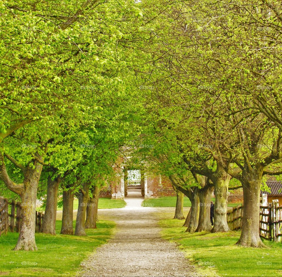 Green arch