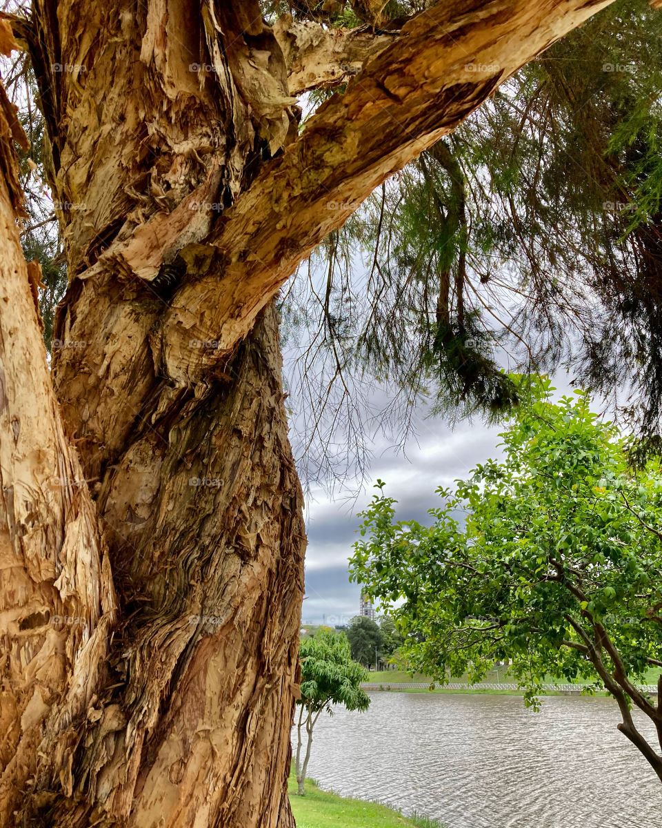 Meio-dia no Lago do Taboão, em Bragança Paulista. A natureza é realmente exuberante…
Admiremos a paisagem!