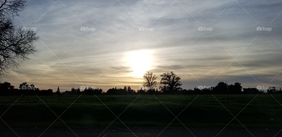 winter's sunset with the fog