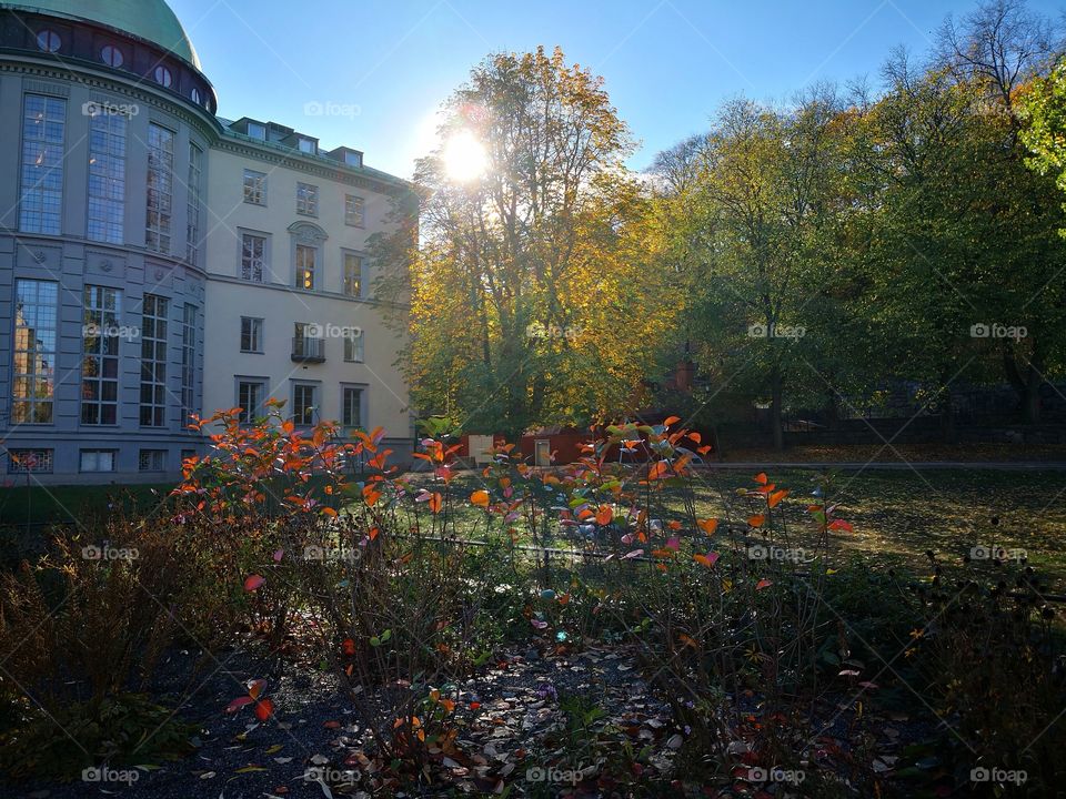 Sun over the rooftops.