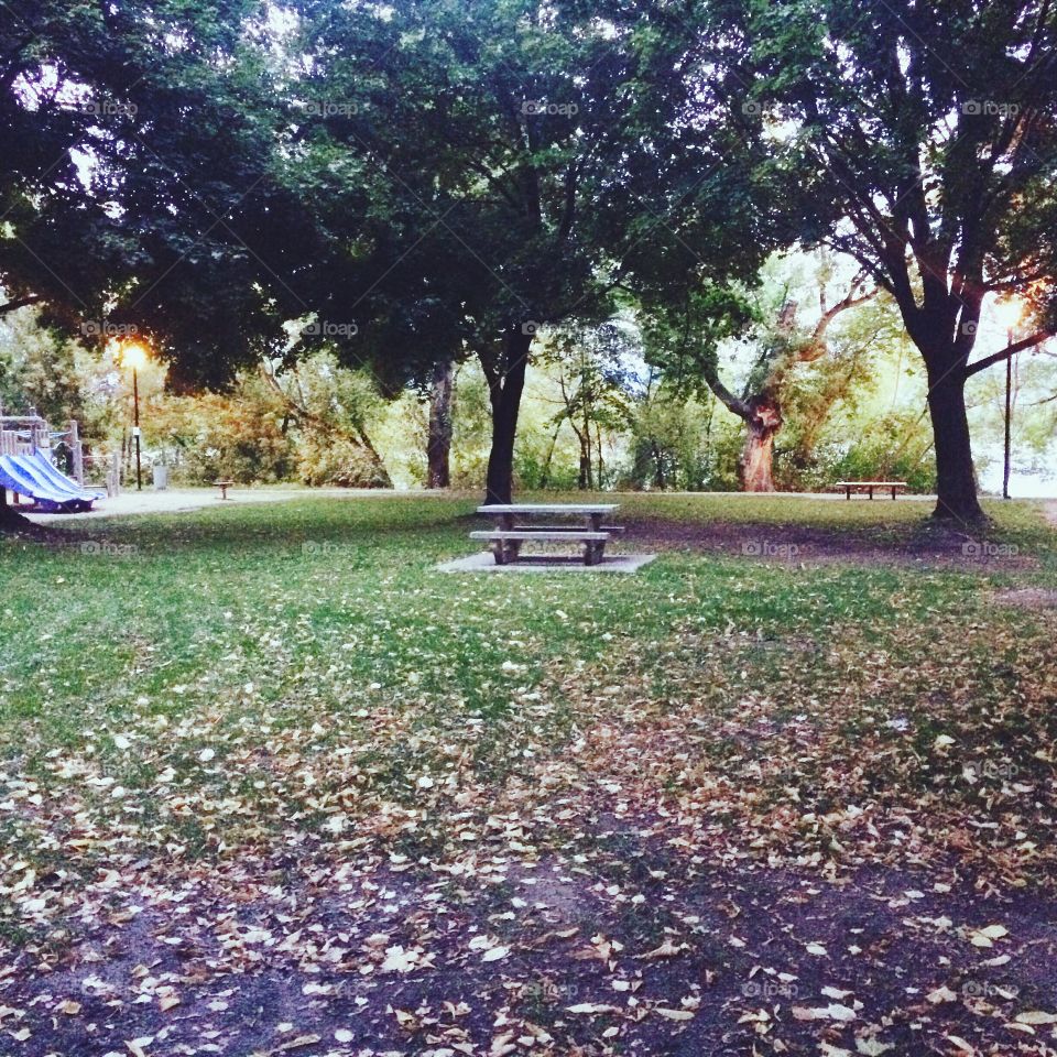 Enjoying the fall season at the park! 