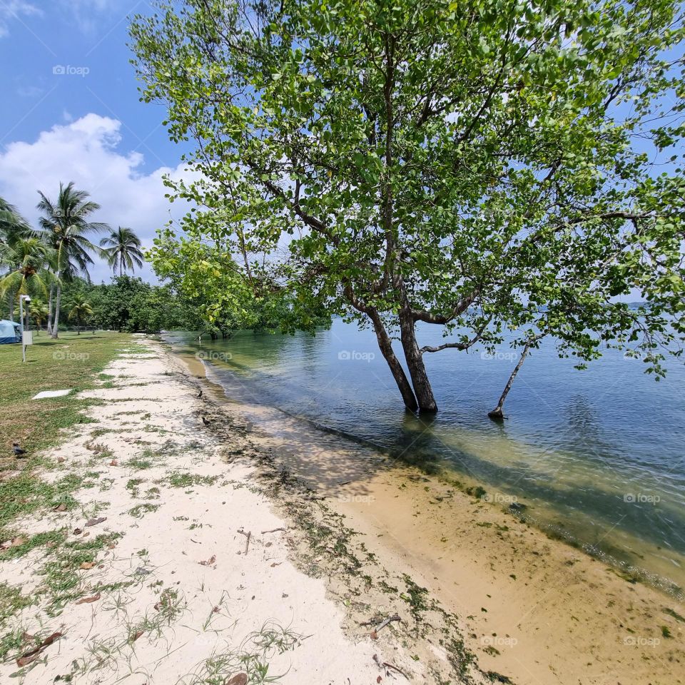 Pasir Ris beach, high tide
