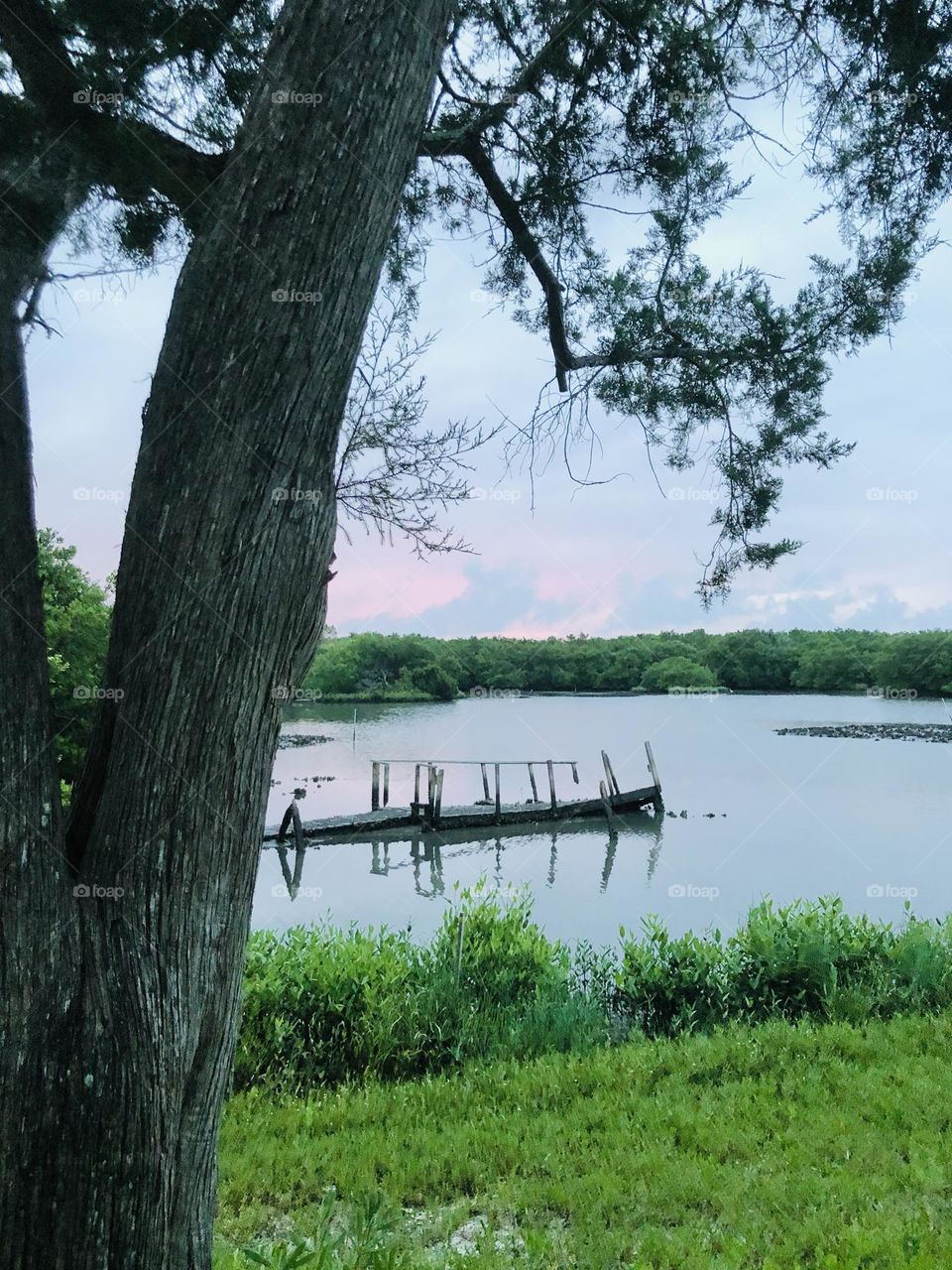 Early morning on the Back Bayou. Shade trees and summer breeze make island vibes and good times!