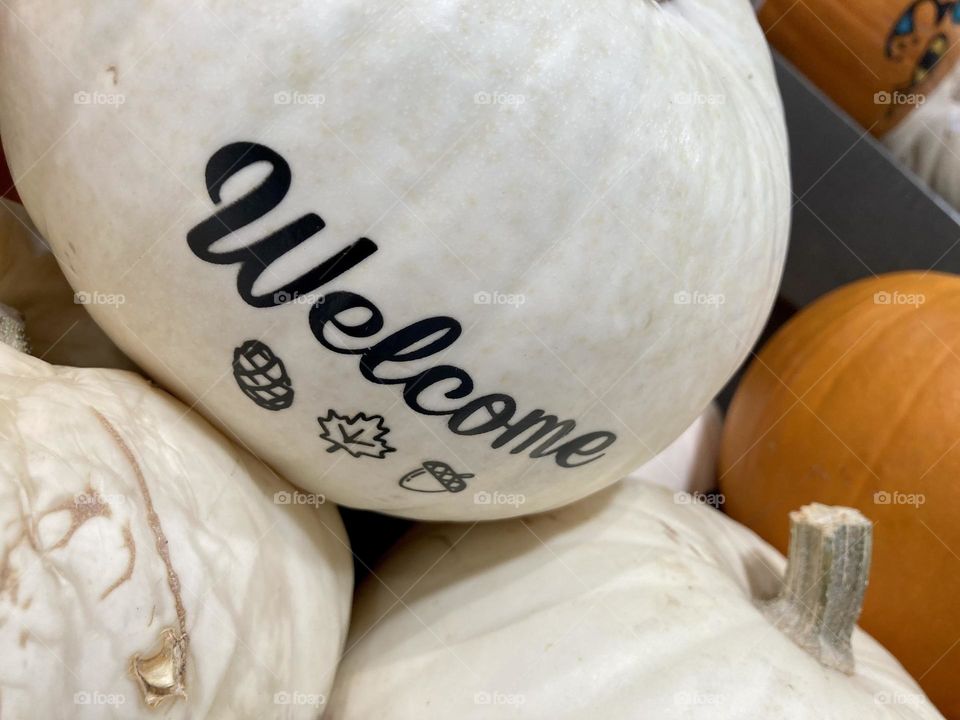 Fall & Autumn photography mission 