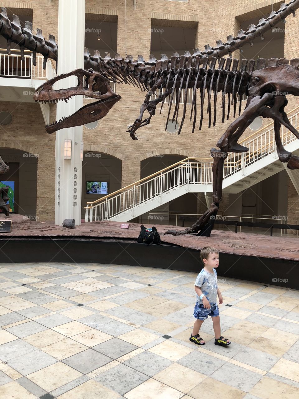 Child walking in museum near dinosaur