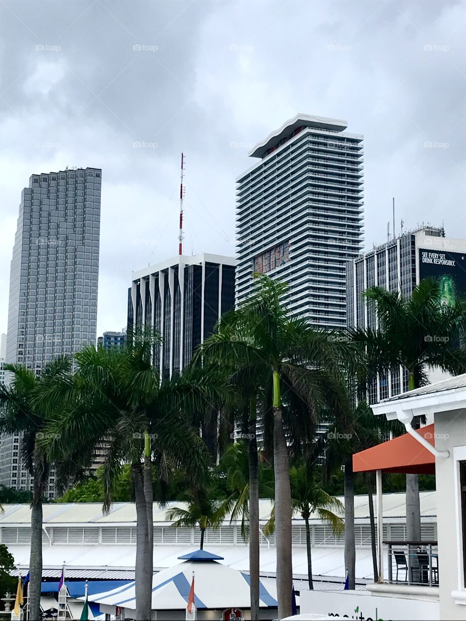 Cityscape Miami