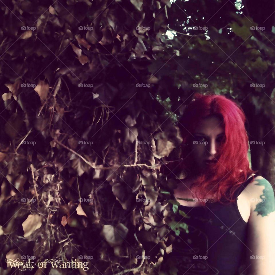 old tree with ivy and girl