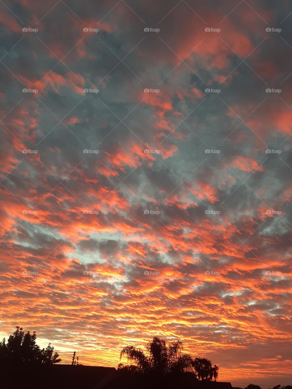 A beautiful orange, yellow, and pink sunset through many clouds in Central Florida.