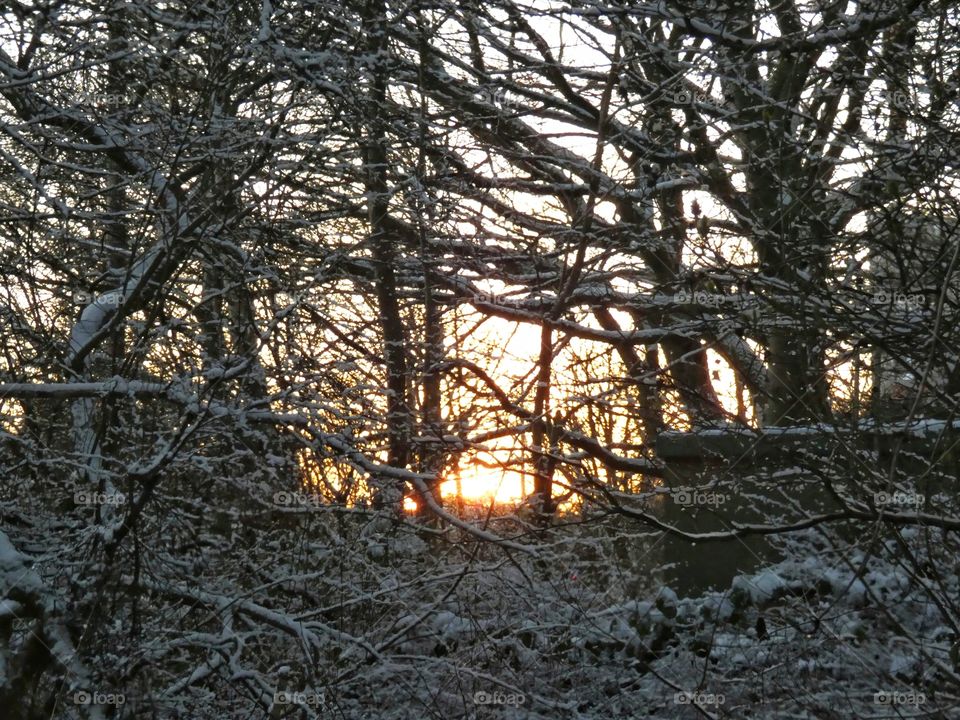Winter sunrise