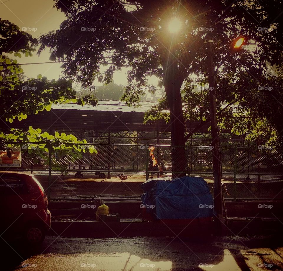 morning moments captured