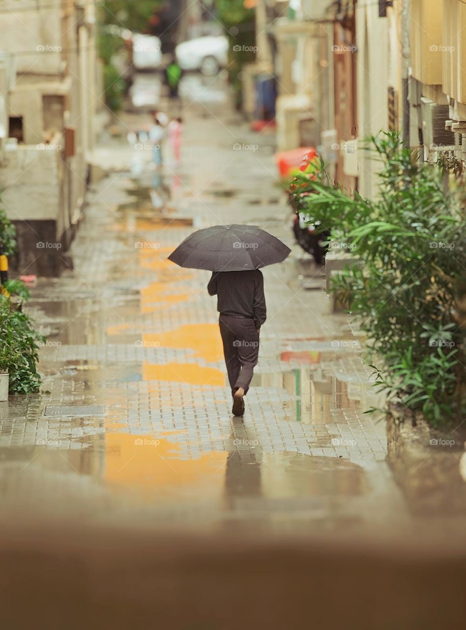 Shadow Beneath the Canopy
