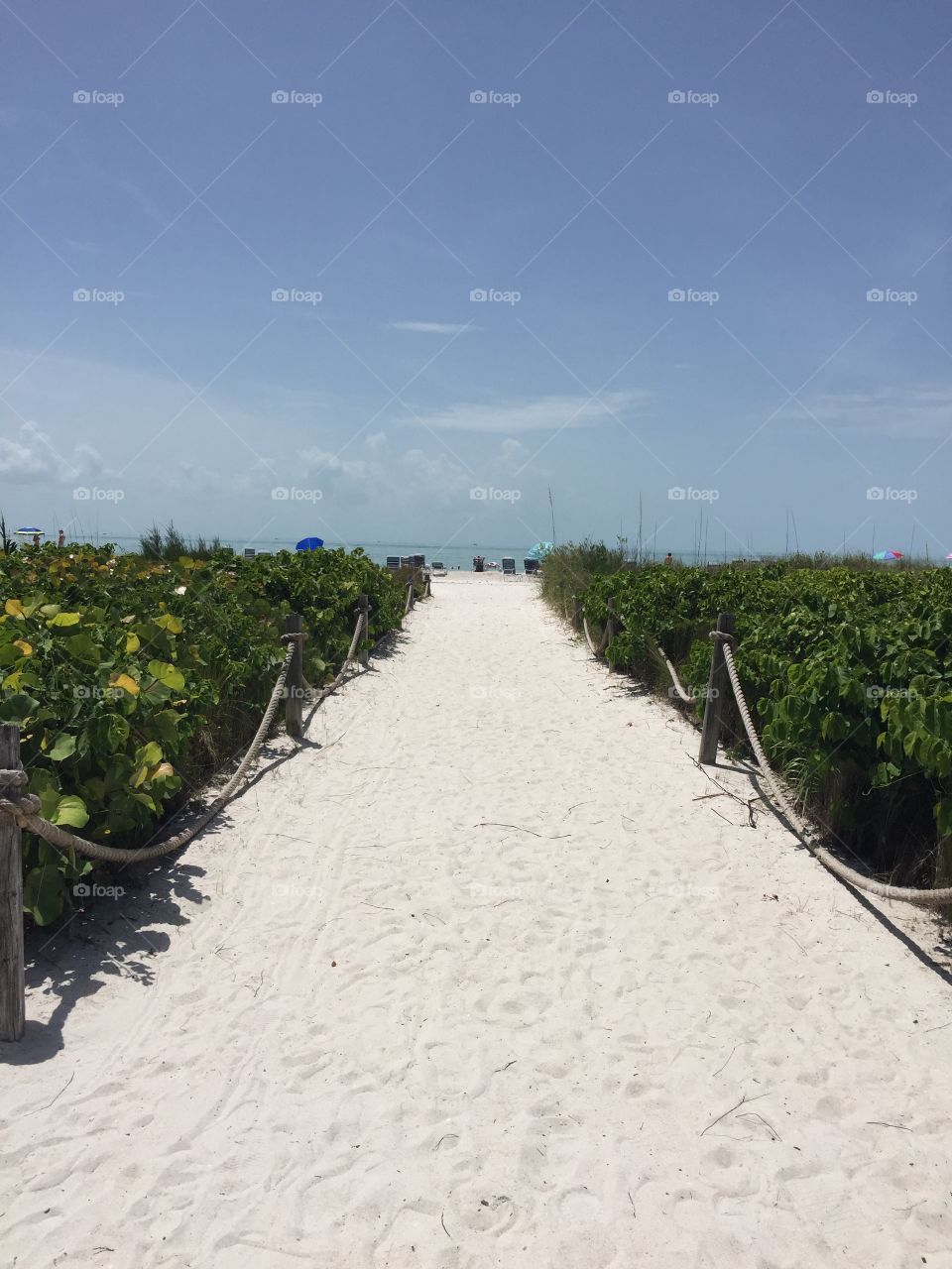 Beach path