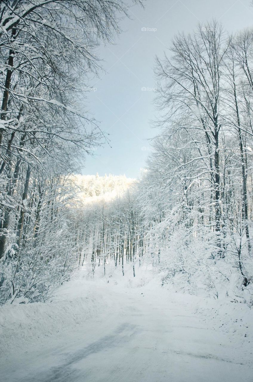 On the snowy road