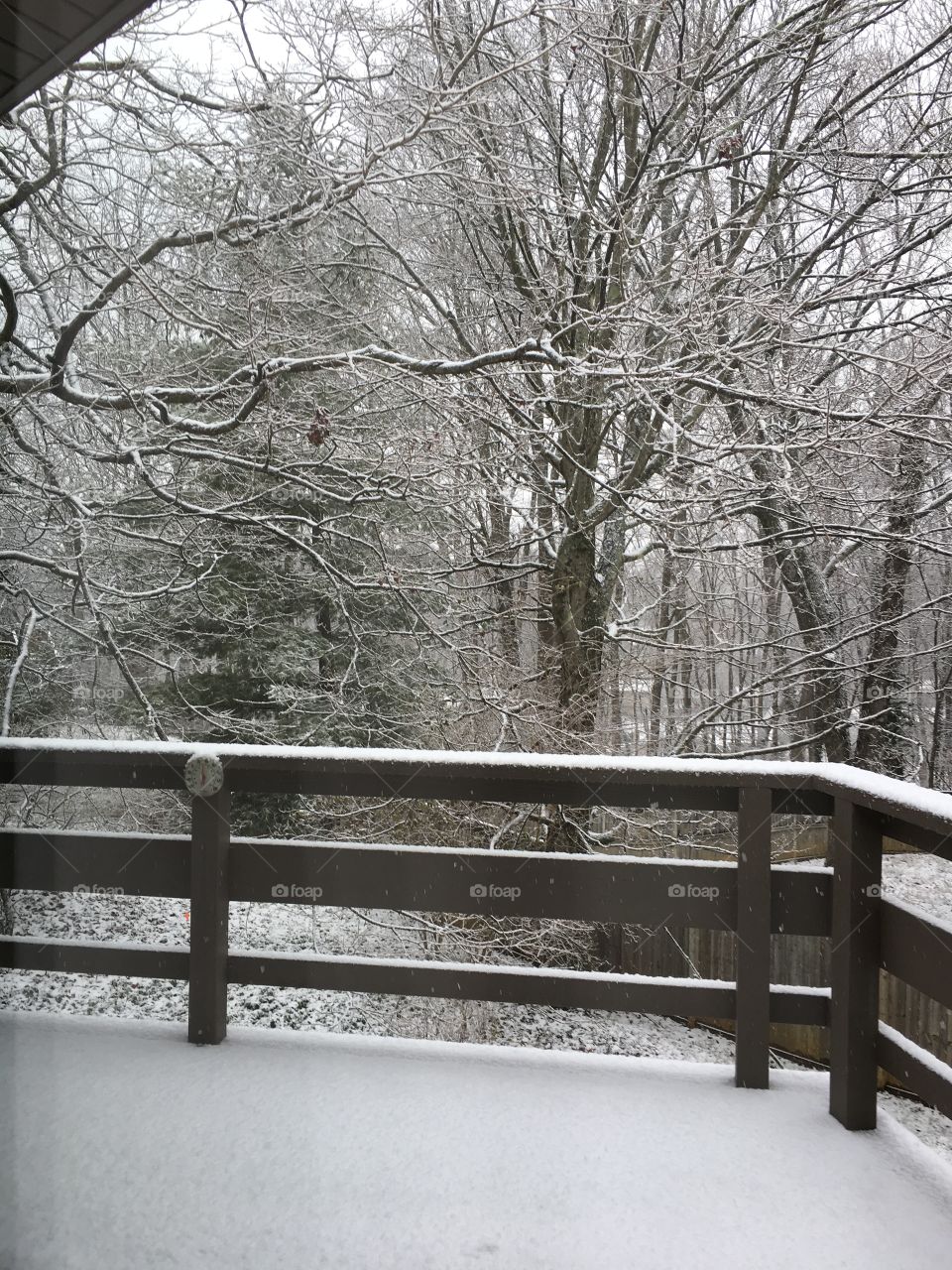 Snowy Veranda in Bloomington, Indiana
