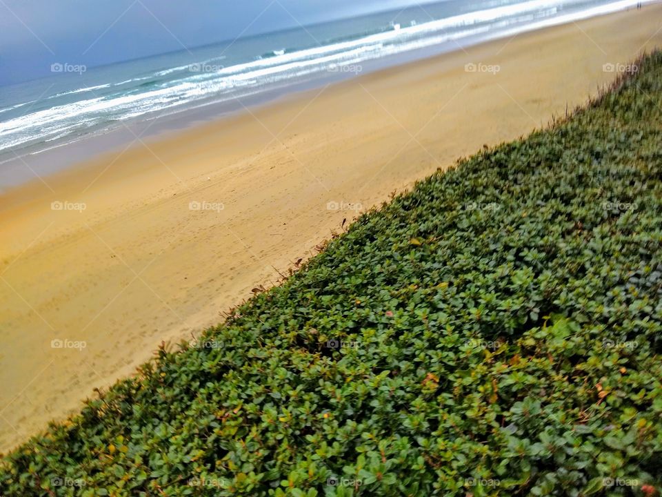 Look at Those Textures on The Oregon Coast "Peaceful Angles"