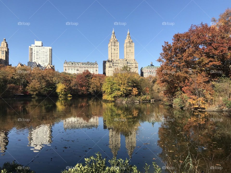 Central Park reflection