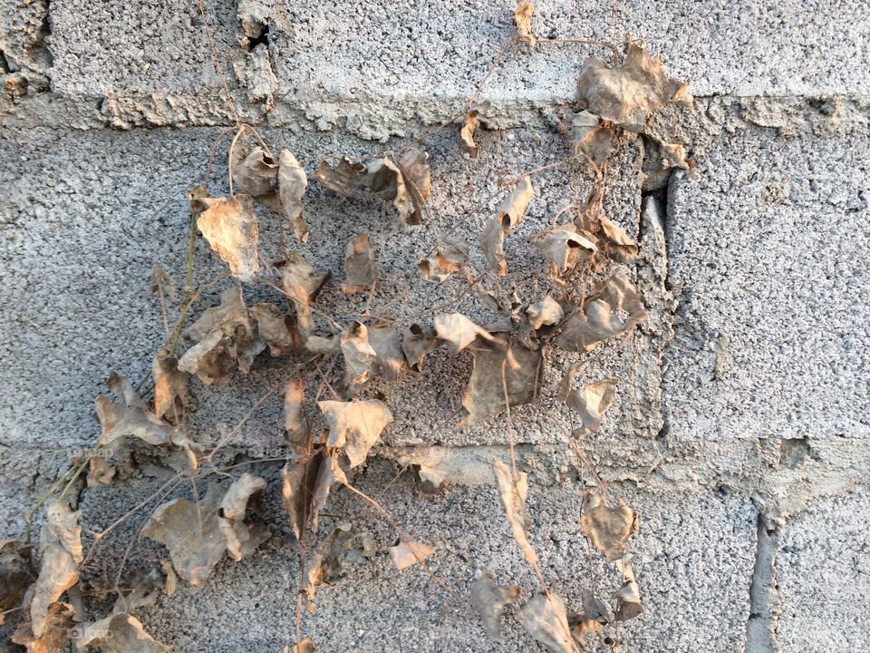 Texture, Desktop, Old, Rough, Earth Surface