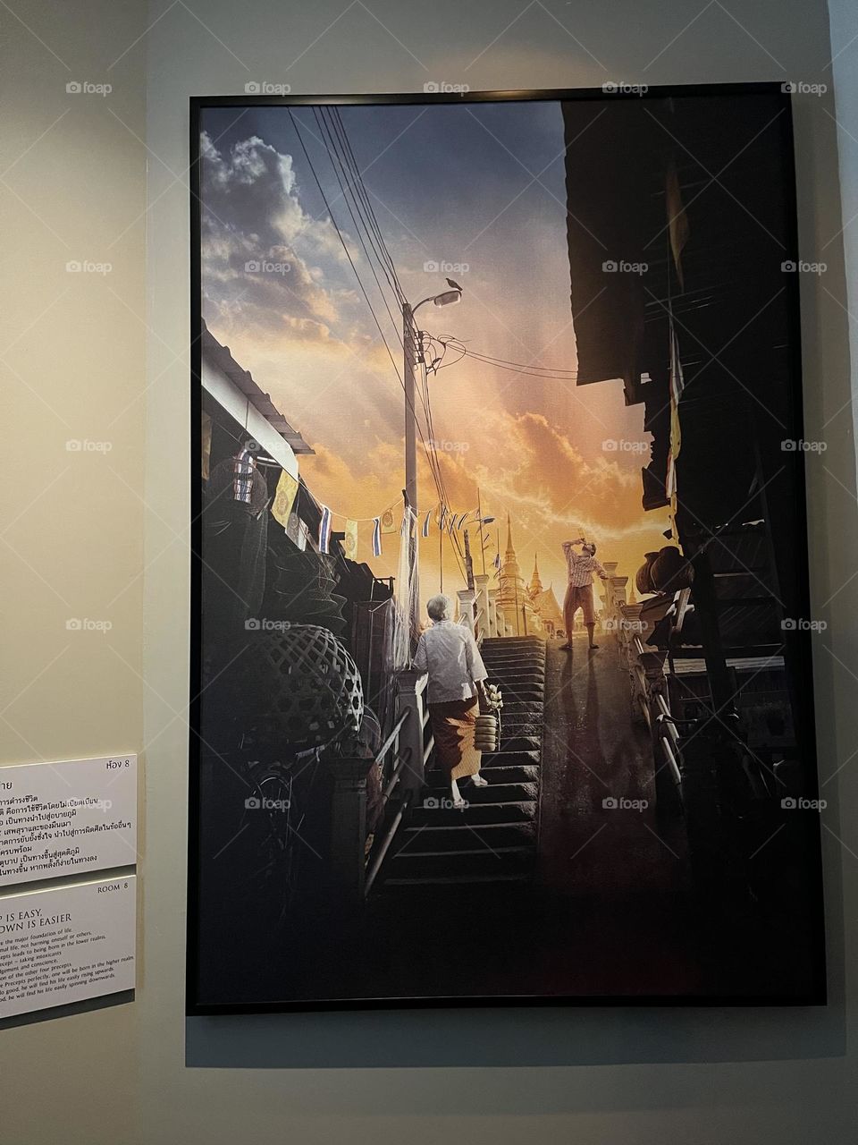 Photos of the Week ( Closed)