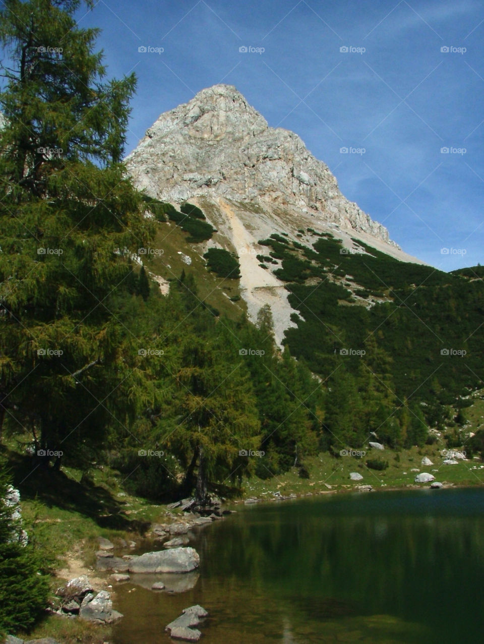italy mountain trees lake by uolza