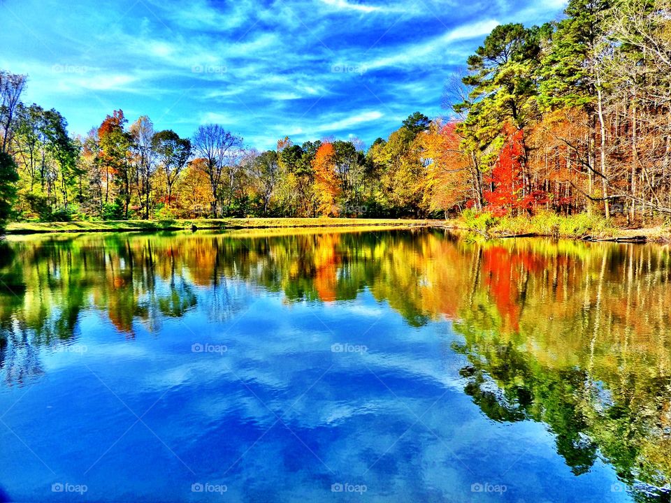 Beautiful lake in fall