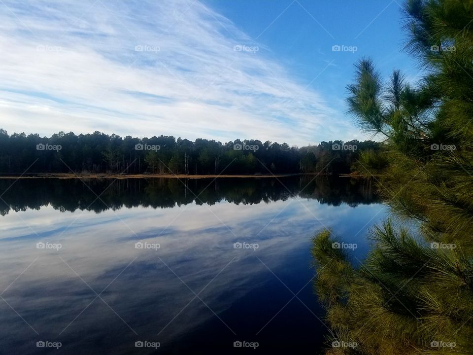 Lakeview reflection trees water Vidor Texas United States of America 2018 January
