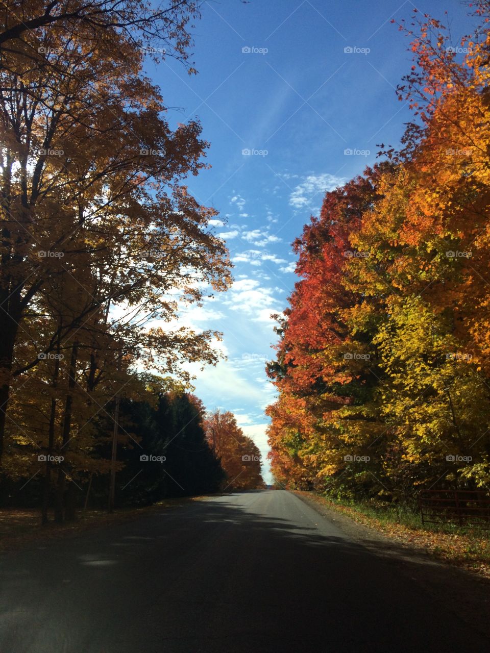 Fall landscape