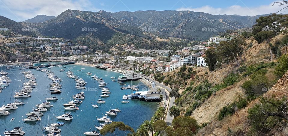 Catalina Island