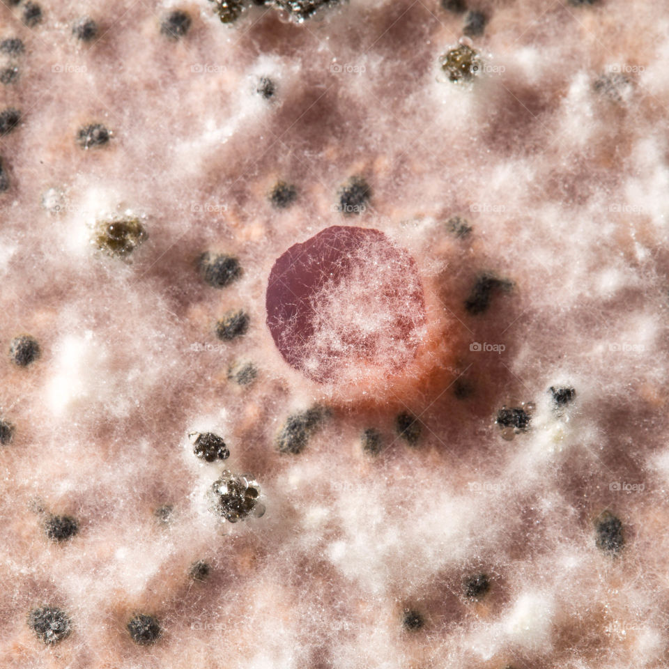 Desktop, Texture, Pattern, Abstract, Decoration