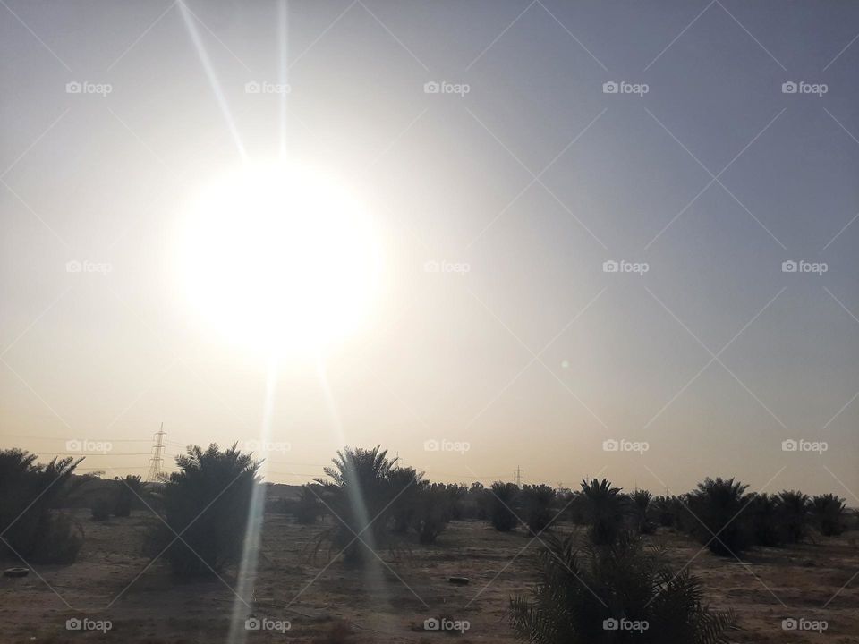 Please make me happy, I am poor, I need your help with support