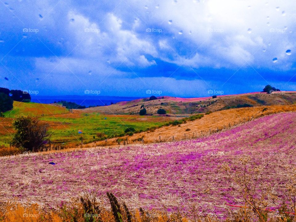 Colourful hills