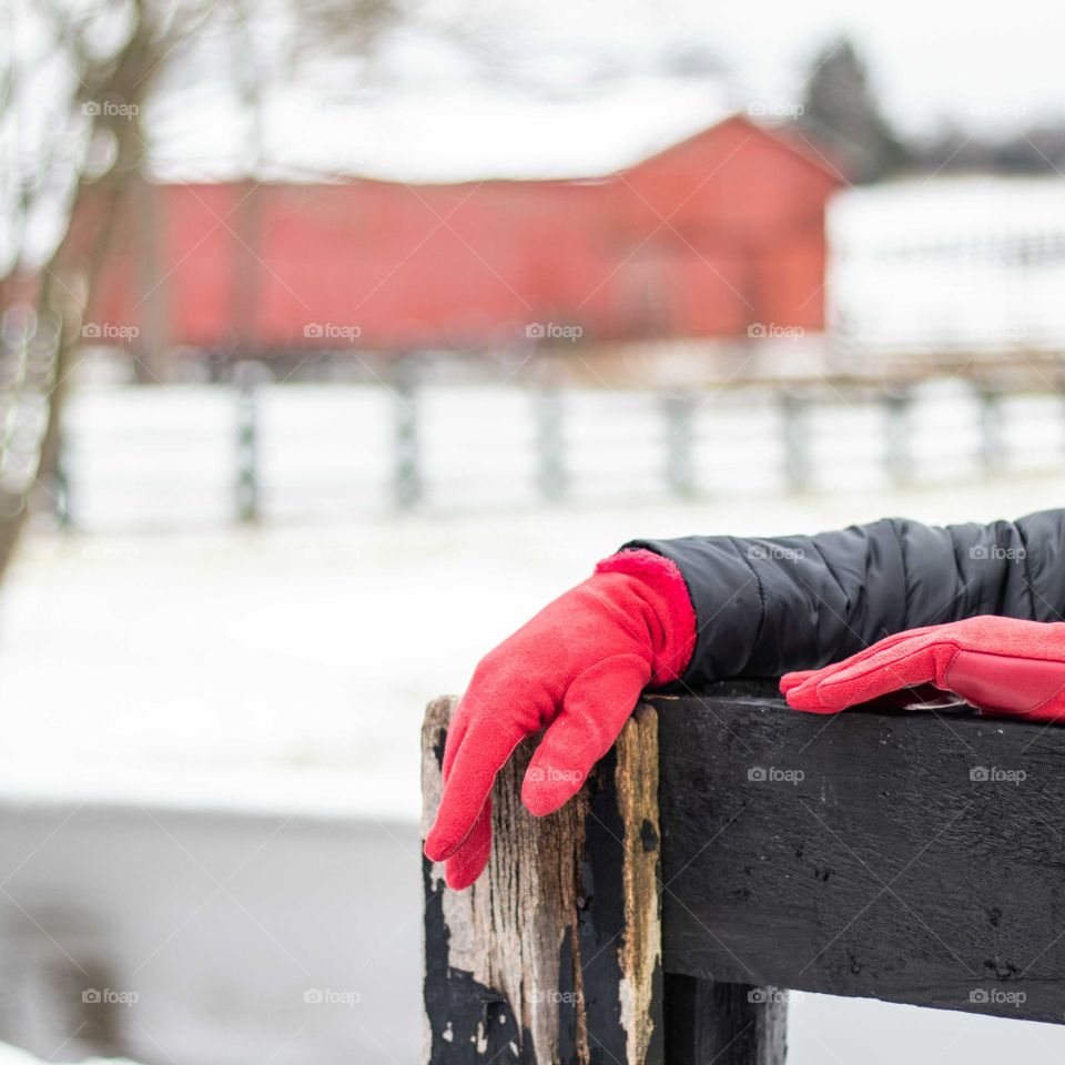 A woman's hands on a fence at a farm on a snowy winter day