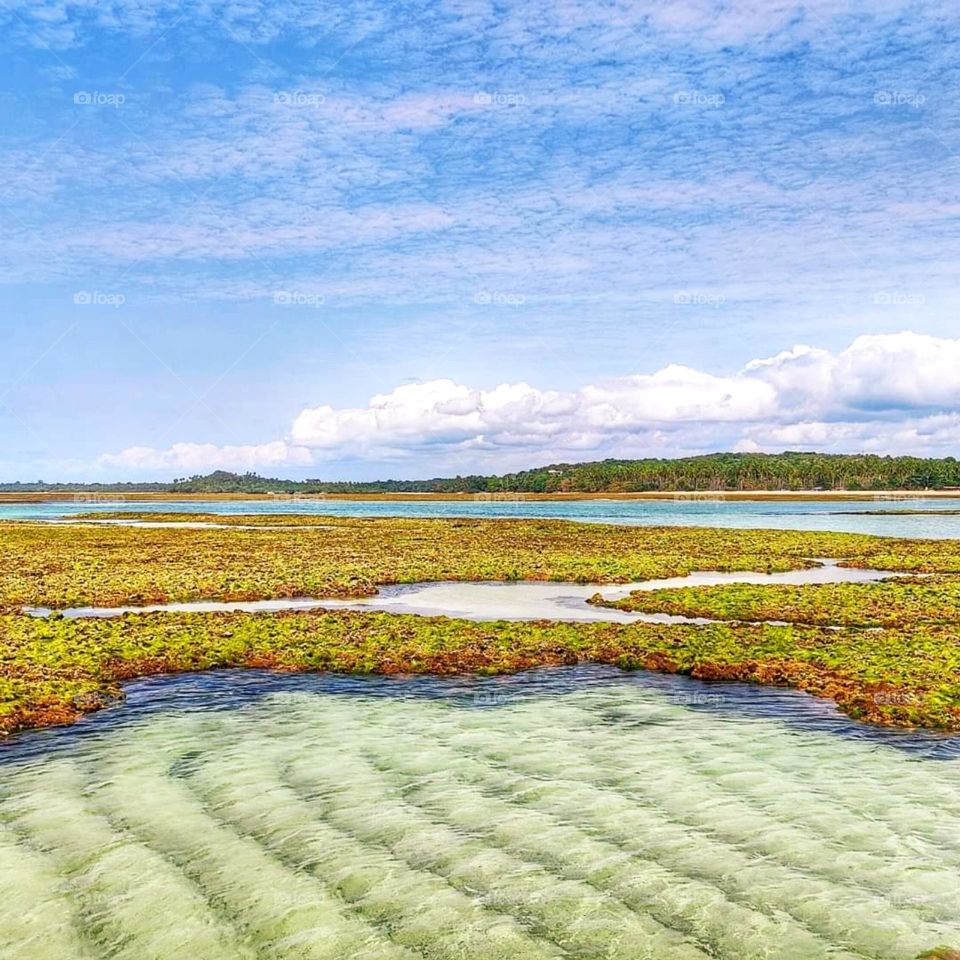 My top summer snapshots mission