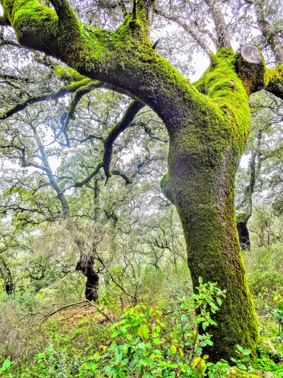 Hiking outside Sevilla, Spain