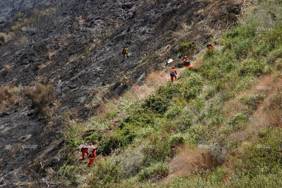 field light yellow nature by hlehnerer
