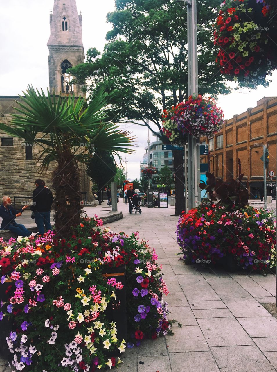 Streets flowers